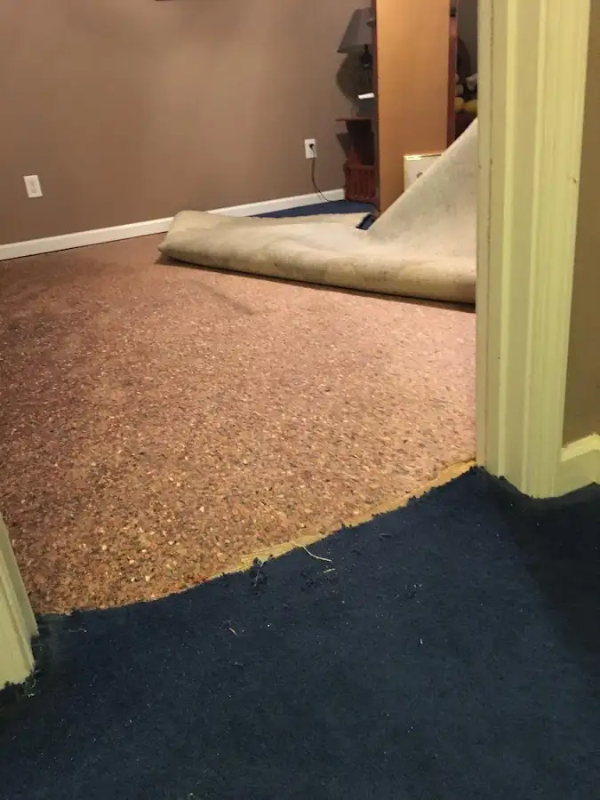 Carpet pad removal revealing water damage during Drying & Dehumidification in Toccoa