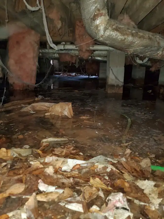 Crawl space flood assessment for Leak Detection & Repair in Toccoa