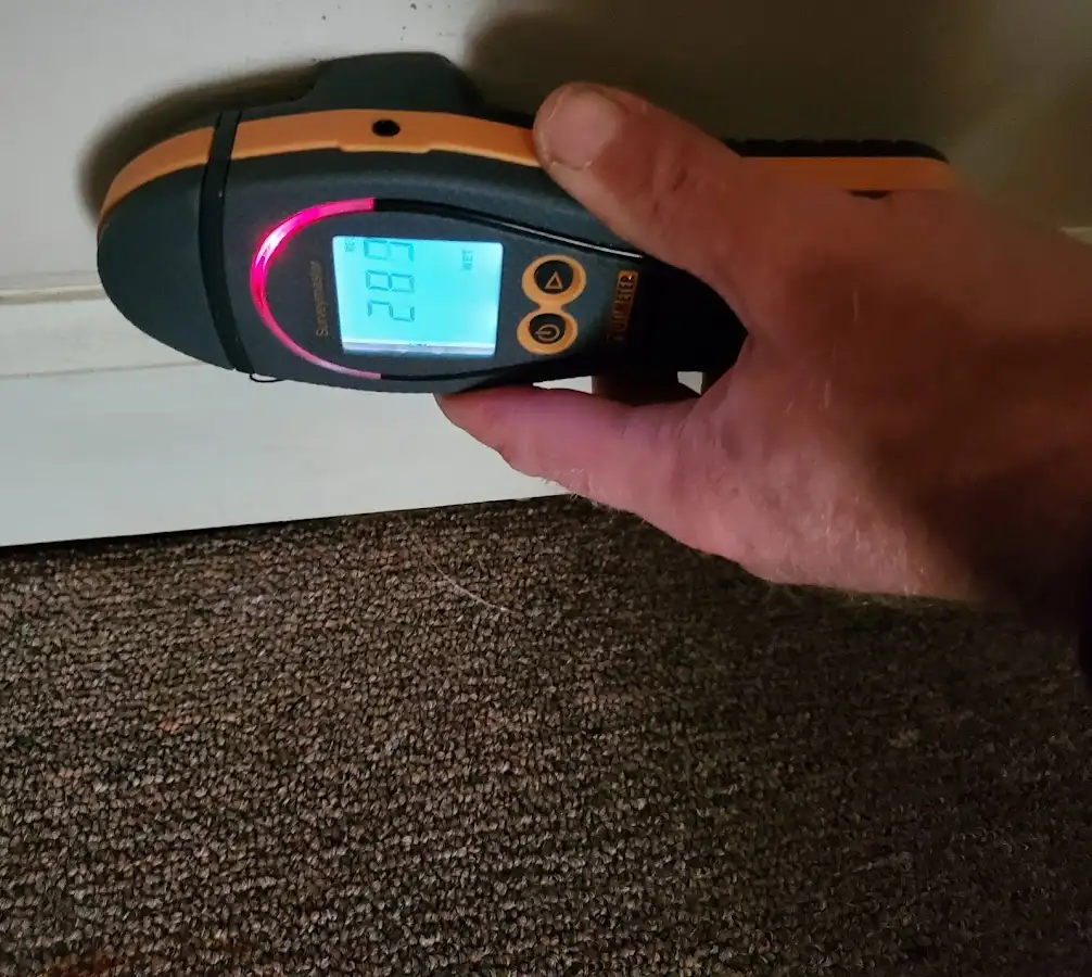 Moisture detection at baseboard during Sewage Cleanup & Sanitation in Toccoa